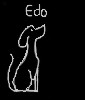 Edo