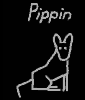 Pippin